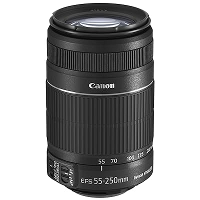 Canon 55-250mm Lens